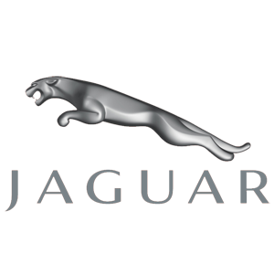 Jaguar Servicing logo