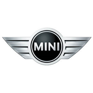 Mini Servicing logo